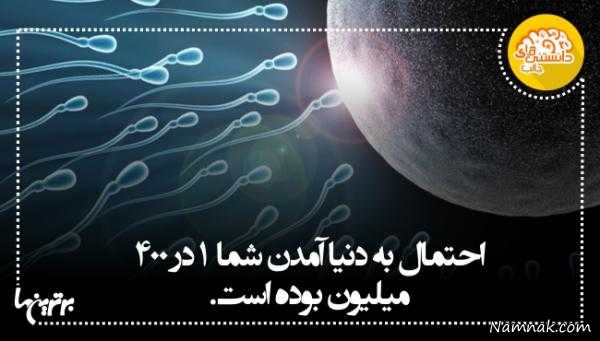 دانستنی های جالب