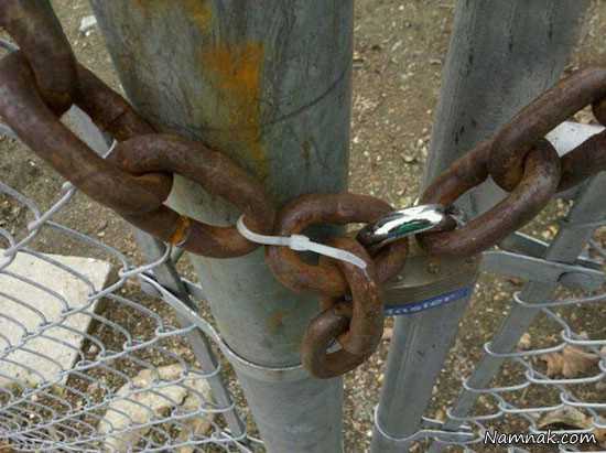 عکسهای خنده دار عکس بامزه