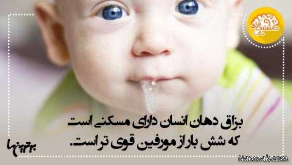 دانستنی های جالب