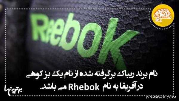 دانستنی های جالب