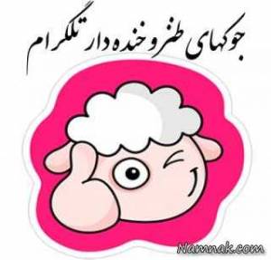 استاتوس های خنده دار