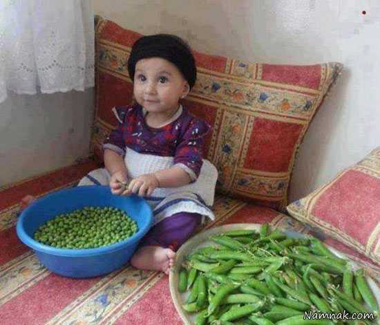 سوژه عکسهای خنده دار