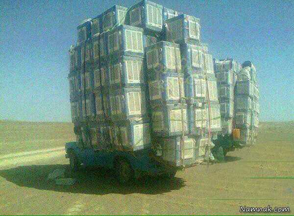 عکسهای خنده دار