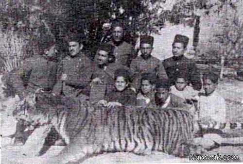 ببر مازندران