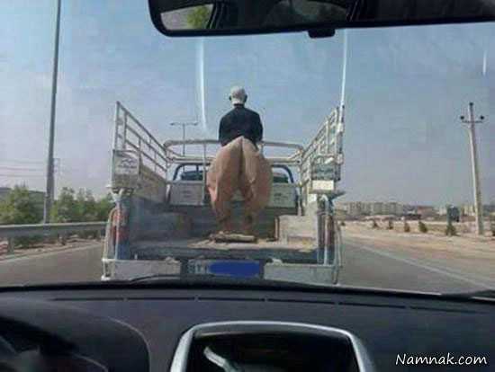 عکسهای خنده دار