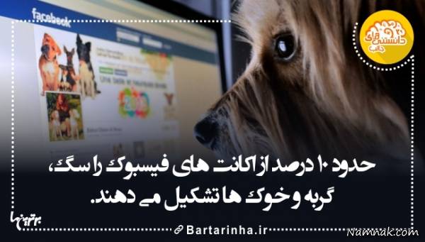 دانستنیها جدید دانستنیها