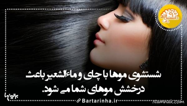 آیا میدانید جدید دانستنیها