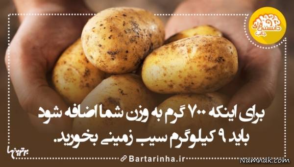 دانستنیها دانستنیها