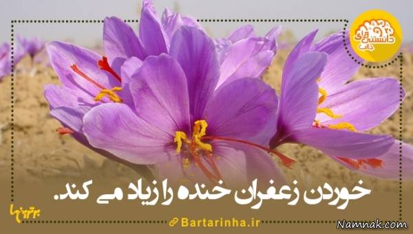 آیا میدانید دانستنیها