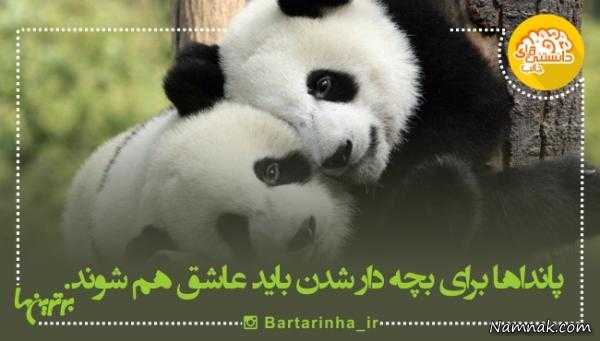 آیا میدانید جدید دانستنی های جالب