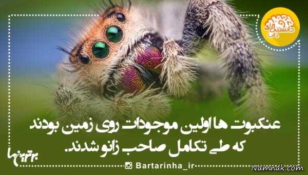 دانستنی های جالب دانستنی های جالب