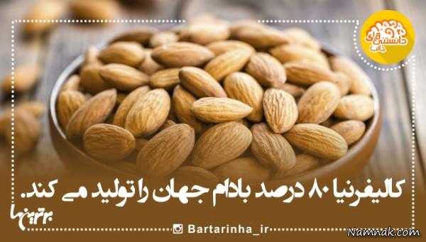 پاندا دانستنی های جالب