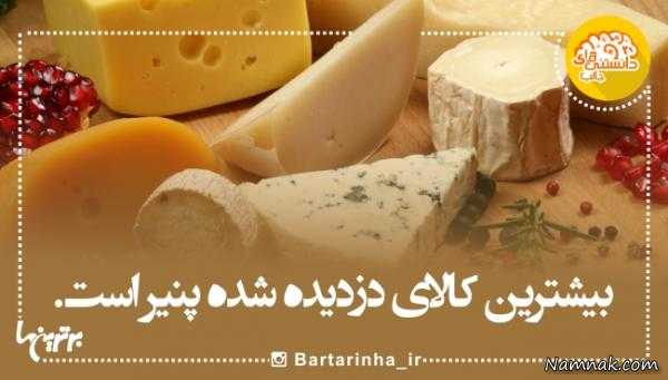 پاندا دانستنی های جالب