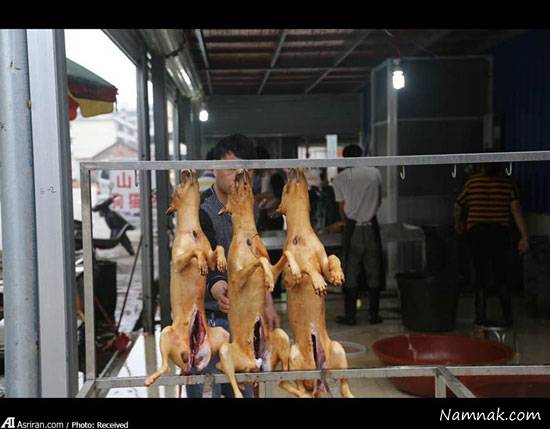 خوردن سگ سگ خوری