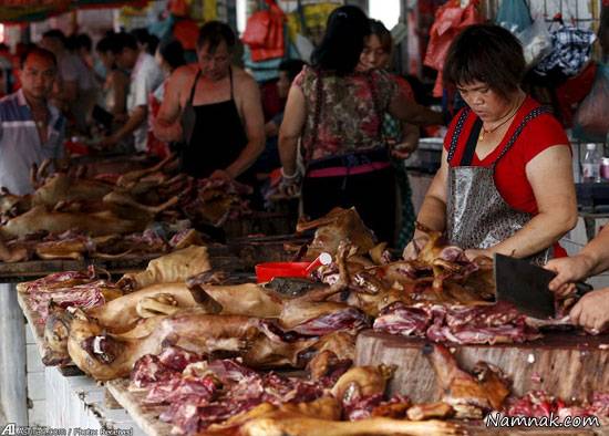 چین سگ خوری