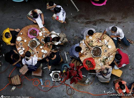 جشنواره سگ خوری