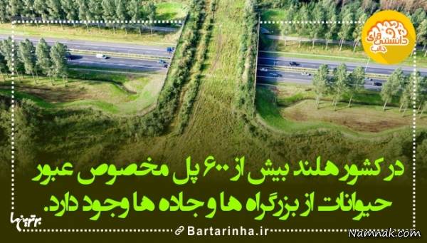 دانستنی های جالب