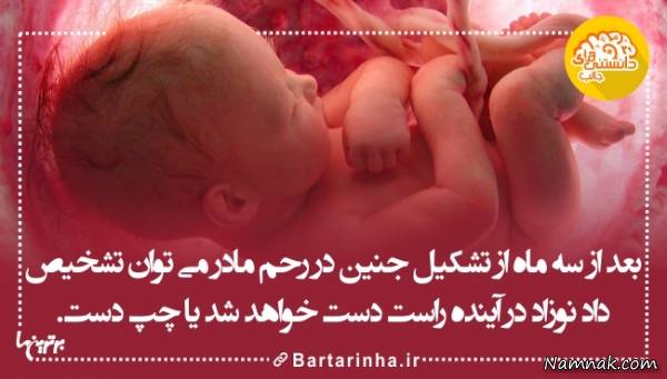 دانستنی های جالب