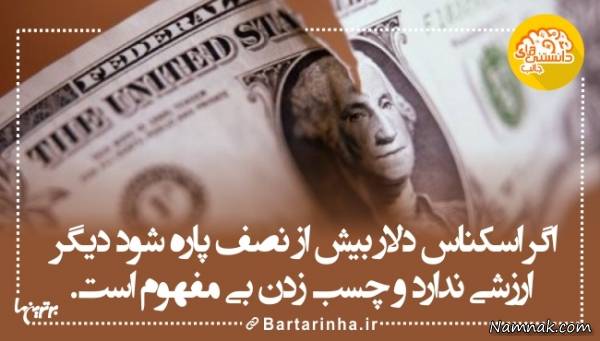 دانستنی های جالب