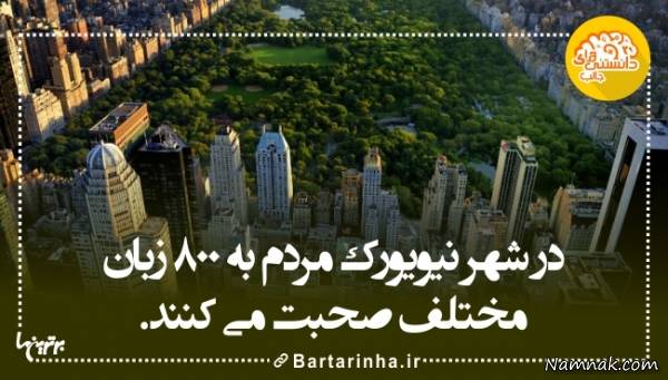 دانستنی های جالب