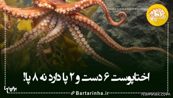 دانستنی های جالب