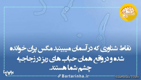 دانستنی های جالب