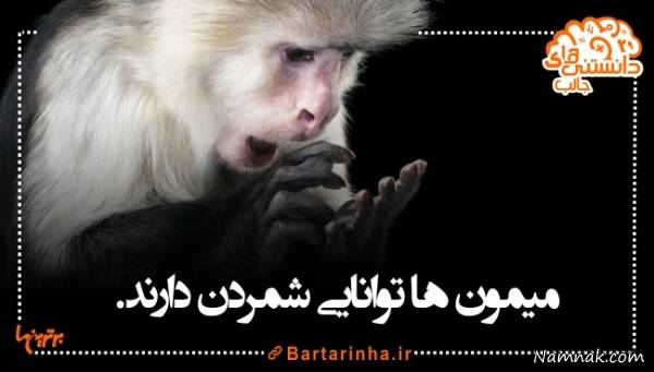 دانستنی های جالب