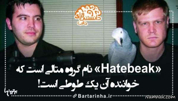 دانستنی های جالب