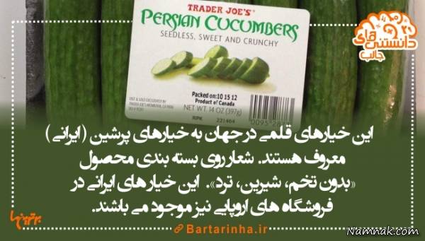 دانستنی های جالب