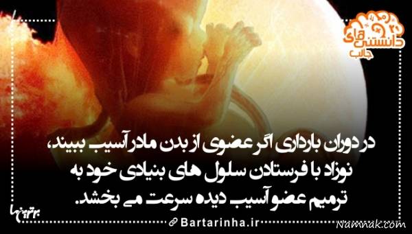 دانستنی های جالب