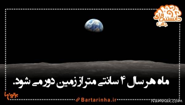 دانستنی های جالب