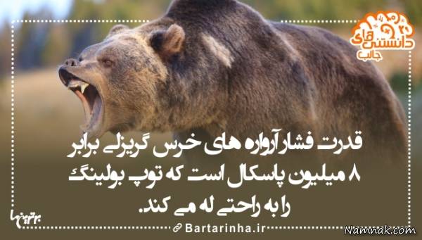 دانستنی های جالب