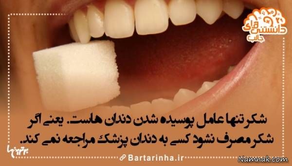 دانستنی های جالب