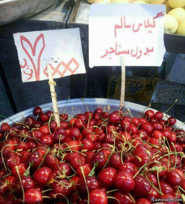 خنده دار عکسهای بامزه