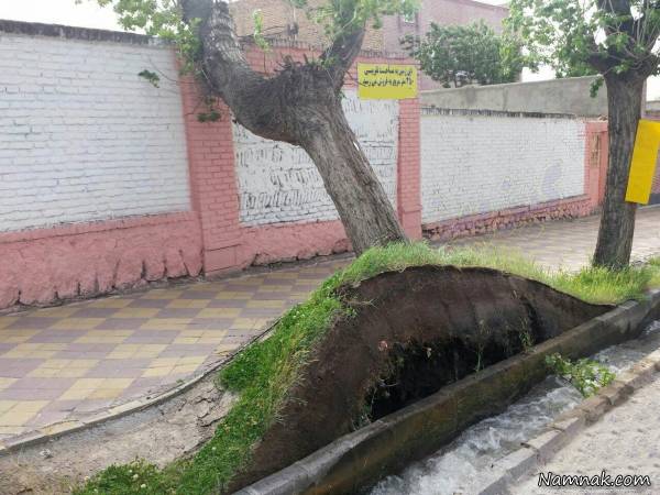 عکسهای خنده دار