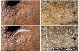 نقاشی حیوانات