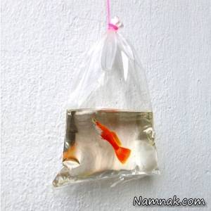 تصاویر سه بعدی