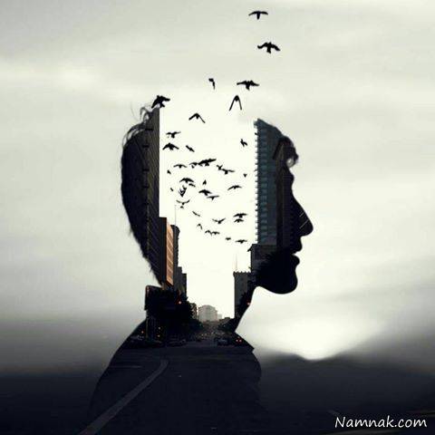 رایان هالیدی
