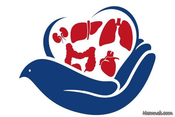 باورهای غلط و رایج در فرایند اهدای اعضا اهدای اعضا