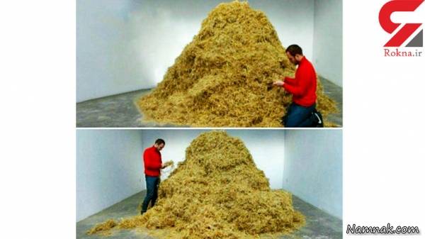 پیدا شدن سوزن در انبار کاه! + عکس انبار کاه