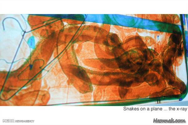 مسافران هواپیما