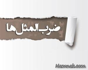 میرزا میرزا رفتن