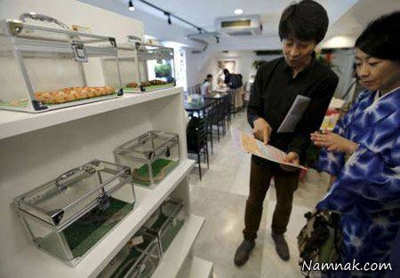 کافی شاپ مارها