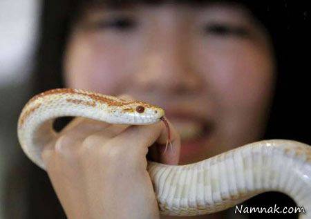 کافی شاپ مارها