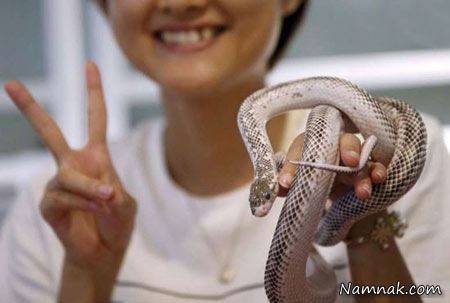 کافی شاپ مارها