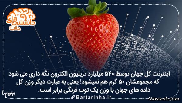 آشنایی با دانستنی های جالب دنیا + عکس دانستنی های جالب