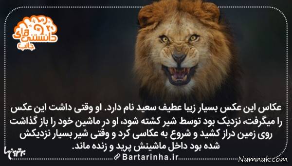 آشنایی با دانستنی های جالب دنیا + عکس دانستنی های جالب