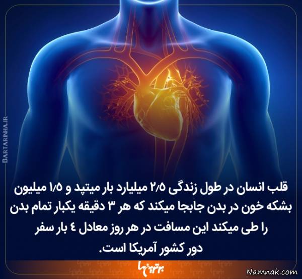 دانستنی های جالب