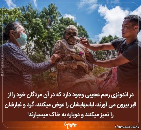 دانستنی های جالب