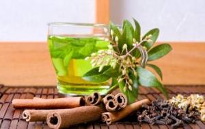 دمنوش جنگلی